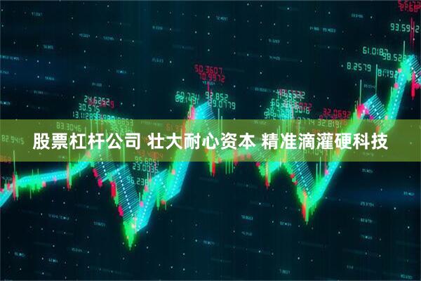 股票杠杆公司 壮大耐心资本 精准滴灌硬科技