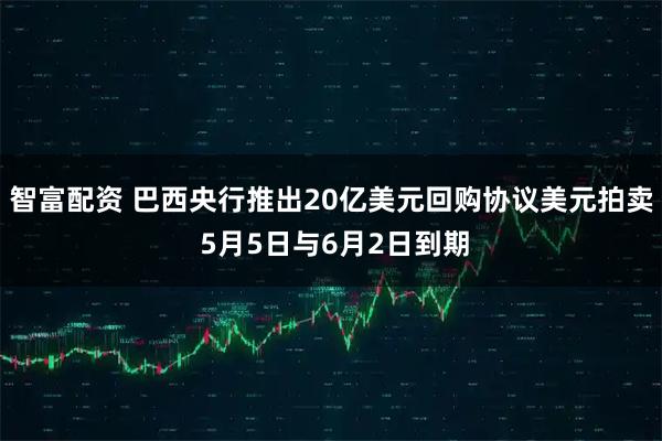 智富配资 巴西央行推出20亿美元回购协议美元拍卖 5月5日与6月2日到期