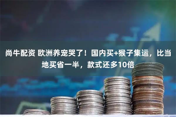 尚牛配资 欧洲养宠哭了！国内买+猴子集运，比当地买省一半，款式还多10倍